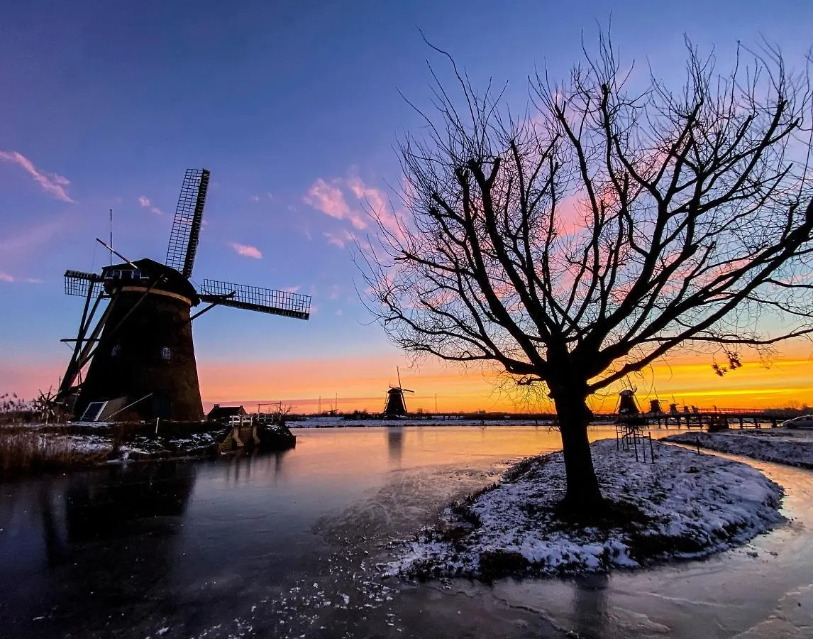 Guest house Guesthouse Rotterdam, Tinyhouse Nearby Kralingen Netherlands